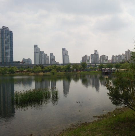 上洞湖公園